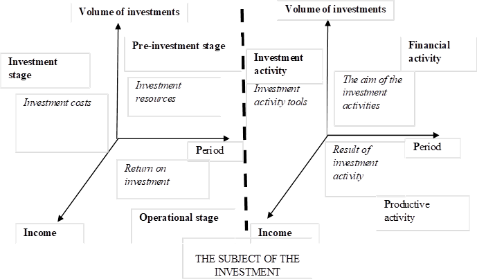 Interaction of investment process and investment activity